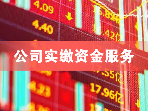 耒阳公司实缴资金服务